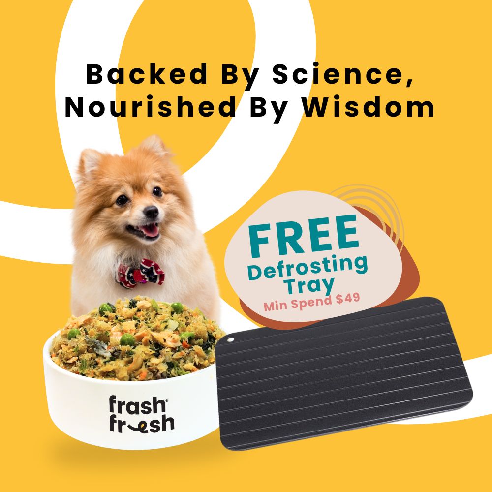 Buy frashfresh Cooked & Raw Pet Food At Good Dog People | Singapore's Best Online Pet Store
