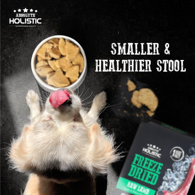 Absolute Holistic Freeze Dried Patties Dog Food (Turkey)