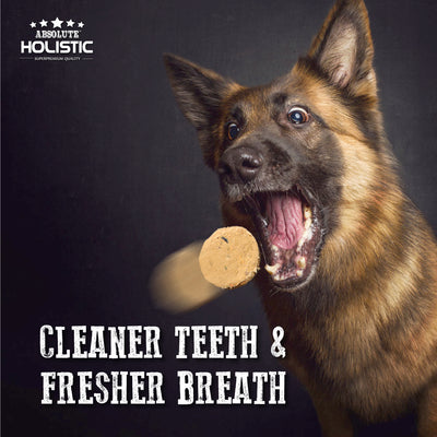 Absolute Holistic Freeze Dried Patties Dog Food (Beef)