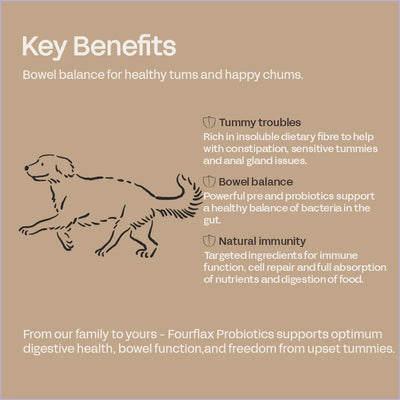 Fourflax Nutritional Powder Supplement for Dogs (Probiotics)