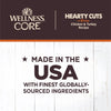 Wellness CORE Hearty Cuts in Gravy Grain Free Wet Dog Food (Chicken & Turkey Recipe)