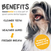 Maxxipaws Maxxidental (Advanced Oral Support) Dental Supplement for Dogs