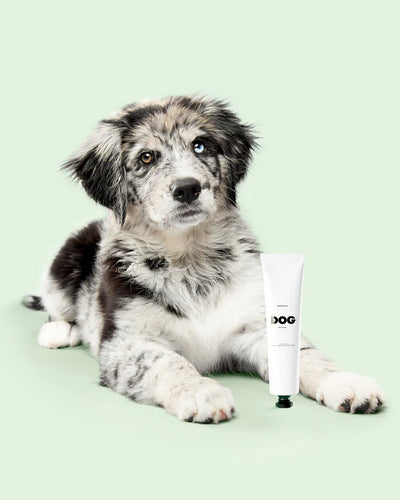 DOG by Dr Lisa Soothing Balm For Dogs (Softens Paws, Elbows, Skin & Nose)