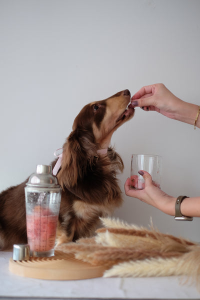 $11.88 ONLY [CLEARANCE]: Licked Super Tubby Froyo Frozen Dog Treats (Feelin’ Peachy)