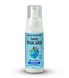 Earthbath Hypoalergenic Bilberry & Blueberry Foaming Facial Wash for Dogs and Cats