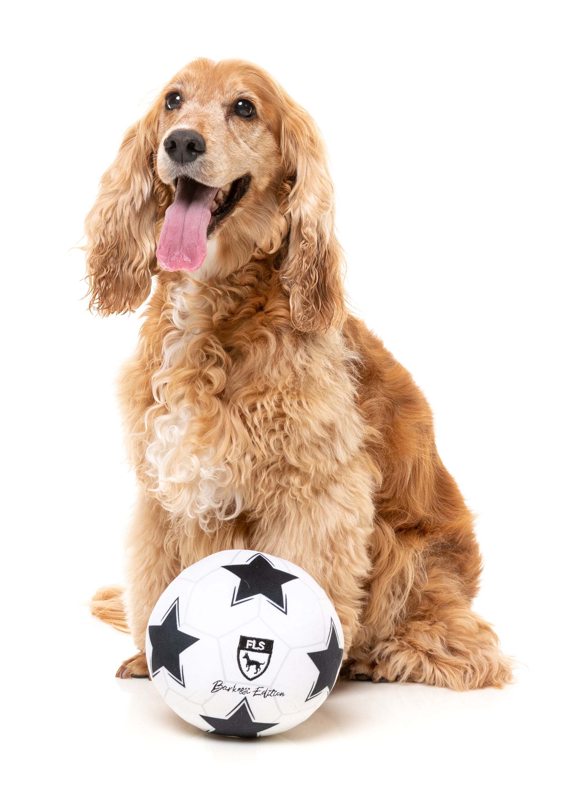 FuzzYard Dog Plush Toy (Soccer Ball) Good Dog People™