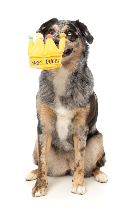 FuzzYard Pride Plush Dog Toy (Yass Queen Crown)