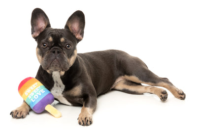 FuzzYard Pride Plush Dog Toy (Love Icy Pole)