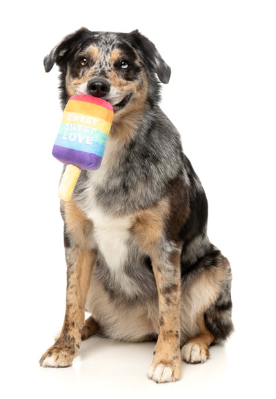 FuzzYard Pride Plush Dog Toy (Love Icy Pole)