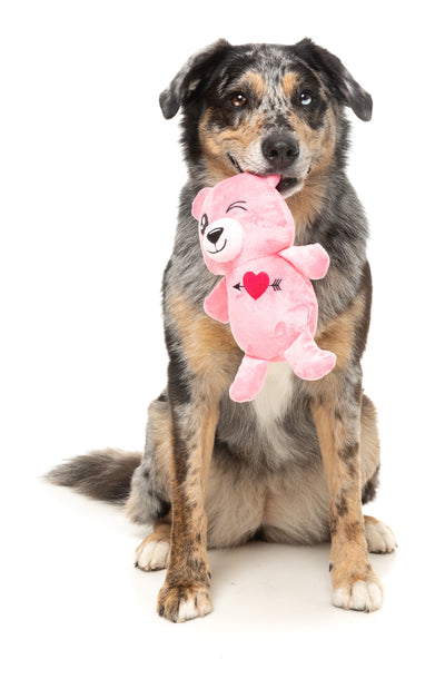 FuzzYard Valentine's Day Plush Dog Toy (Nothing Butt Love Bear)