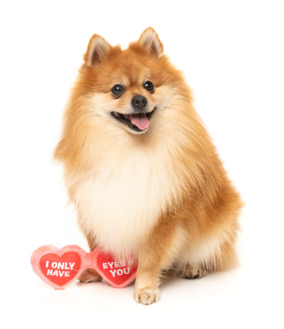 FuzzYard Valentine's Day Plush Dog Toy (Eyes 4 U Specs)