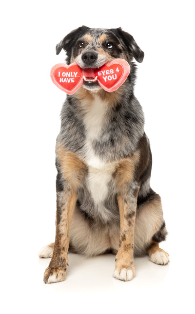 FuzzYard Valentine's Day Plush Dog Toy (Eyes 4 U Specs)