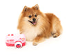 FuzzYard Valentine's Day Plush Dog Toy (Oh Snap Camera)