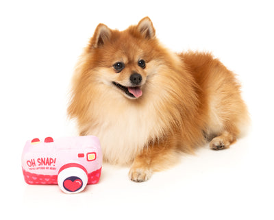 FuzzYard Valentine's Day Plush Dog Toy (Oh Snap Camera)