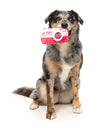 FuzzYard Valentine's Day Plush Dog Toy (Oh Snap Camera)