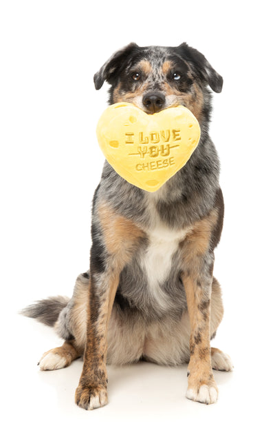 FuzzYard Valentine's Day Plush Dog Toy (Cheese Heart)