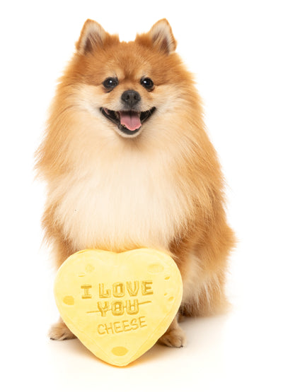FuzzYard Valentine's Day Plush Dog Toy (Cheese Heart)