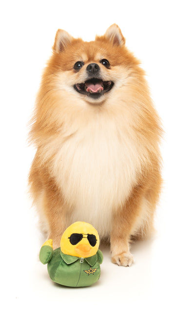 FuzzYard Squeaky Plush Dog Toy (Goose)