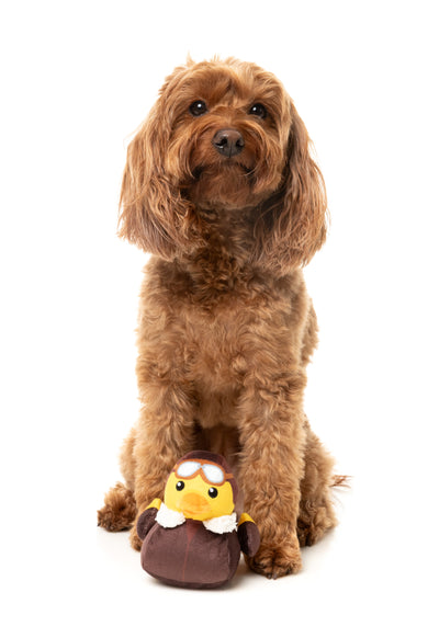 FuzzYard Dog Plush Toy (Amelia Quackheart)