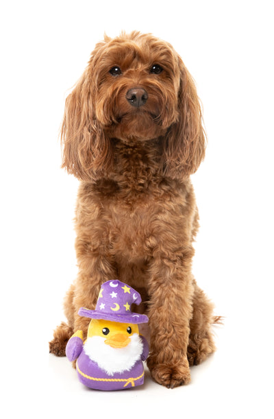 FuzzYard Dog Plush Toy (Sirius Quack)