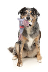 FuzzYard The Yeetz Swing-And-Throw Plush Dog Toy (Peace Out Pigeon)