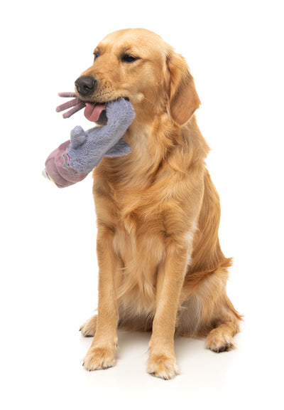 FuzzYard The Yeetz Swing-And-Throw Plush Dog Toy (Peace Out Pigeon)