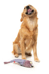 FuzzYard The Yeetz Swing-And-Throw Plush Dog Toy (Peace Out Pigeon)