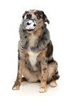 FuzzYard The Yeetz Swing-And-Throw Plush Dog Toy (Run Alone Raccoon)