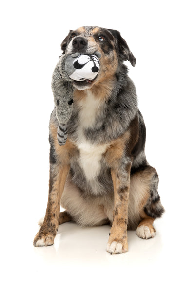 FuzzYard The Yeetz Swing-And-Throw Plush Dog Toy (Run Alone Raccoon)