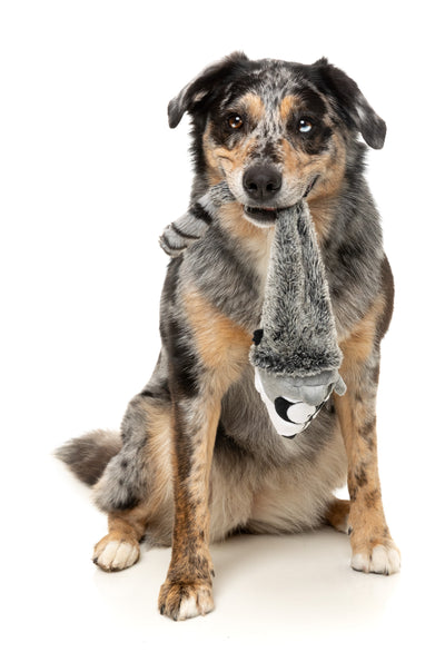 FuzzYard The Yeetz Swing-And-Throw Plush Dog Toy (Run Alone Raccoon)