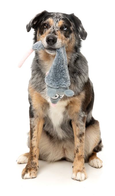 FuzzYard The Yeetz Swing-And-Throw Plush Dog Toy (Rack Off Rat)