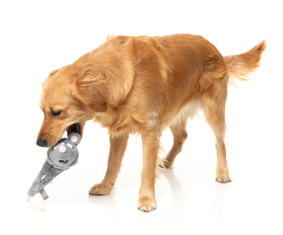 FuzzYard The Yeetz Swing-And-Throw Plush Dog Toy (Rack Off Rat)