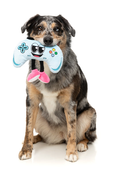 FuzzYard The Homies Squeaky Plush Dog Toy (Gamezy)