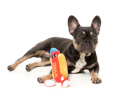 FuzzYard The Homies Squeaky Plush Dog Toy (Franky)