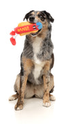 FuzzYard The Homies Squeaky Plush Dog Toy (Franky)