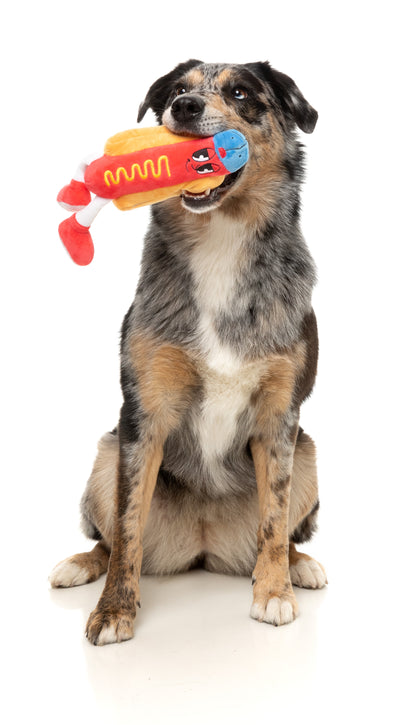 FuzzYard The Homies Squeaky Plush Dog Toy (Franky)