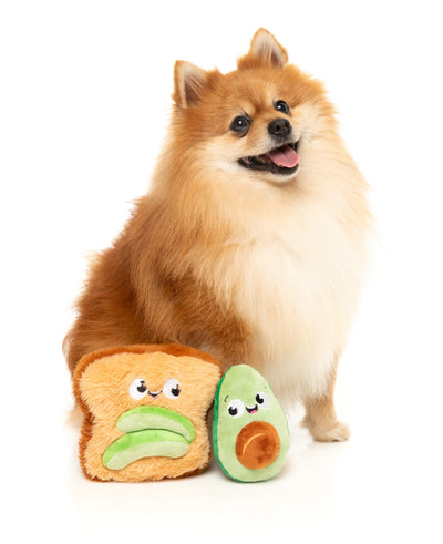 FuzzYard Perfect Match Squeaky Plush Dog Toy (Avocado & Toast 2 Pack)