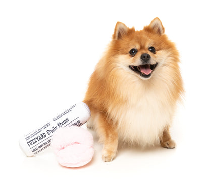 FuzzYard Perfect Match Squeaky Plush Dog Toy (Fetch My Slippers & Paper 2 Pack)