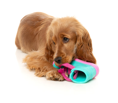 Fuzzyard Treat Dispensing Interactive Dog Chew Toy (Fresh Kicks N' Licks)