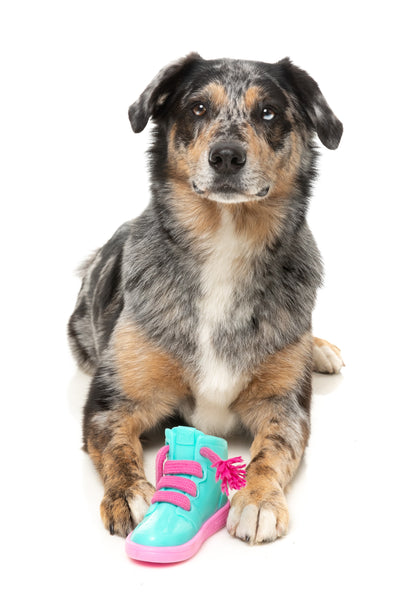 Fuzzyard Treat Dispensing Interactive Dog Chew Toy (Fresh Kicks N' Licks)