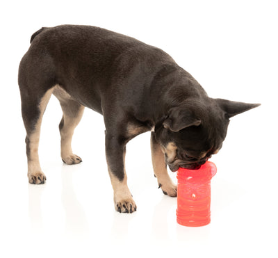 Fuzzyard Treat Dispensing Interactive Dog Chew Toy (Pina Coolada Freeze)