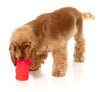 Fuzzyard Treat Dispensing Interactive Dog Chew Toy (Pina Coolada Freeze)