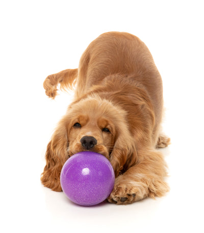 Fuzzyard Treat Dispensing Interactive Dog Chew Toy (Truth Tellin' Treat Ball)