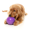 Fuzzyard Treat Dispensing Interactive Dog Chew Toy (Truth Tellin' Treat Ball)