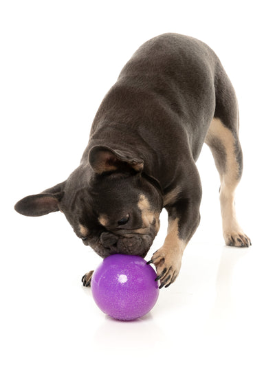 Fuzzyard Treat Dispensing Interactive Dog Chew Toy (Truth Tellin' Treat Ball)