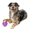 Fuzzyard Treat Dispensing Interactive Dog Chew Toy (Truth Tellin' Treat Ball)