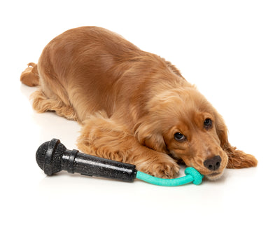Fuzzyard Treat Dispensing Interactive Dog Chew Toy (Mic Drop)