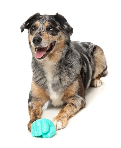 Fuzzyard Treat Dispensing Interactive Dog Chew Toy (Knuckle Sandwich)