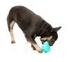 Fuzzyard Treat Dispensing Interactive Dog Chew Toy (Knuckle Sandwich)