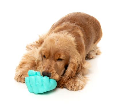 Fuzzyard Treat Dispensing Interactive Dog Chew Toy (Knuckle Sandwich)